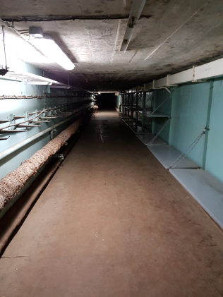 Wünsdorf - Die verbotenen Stadt - Die Bunkerstadt